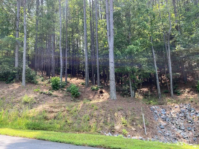 a view of outdoor space and yard