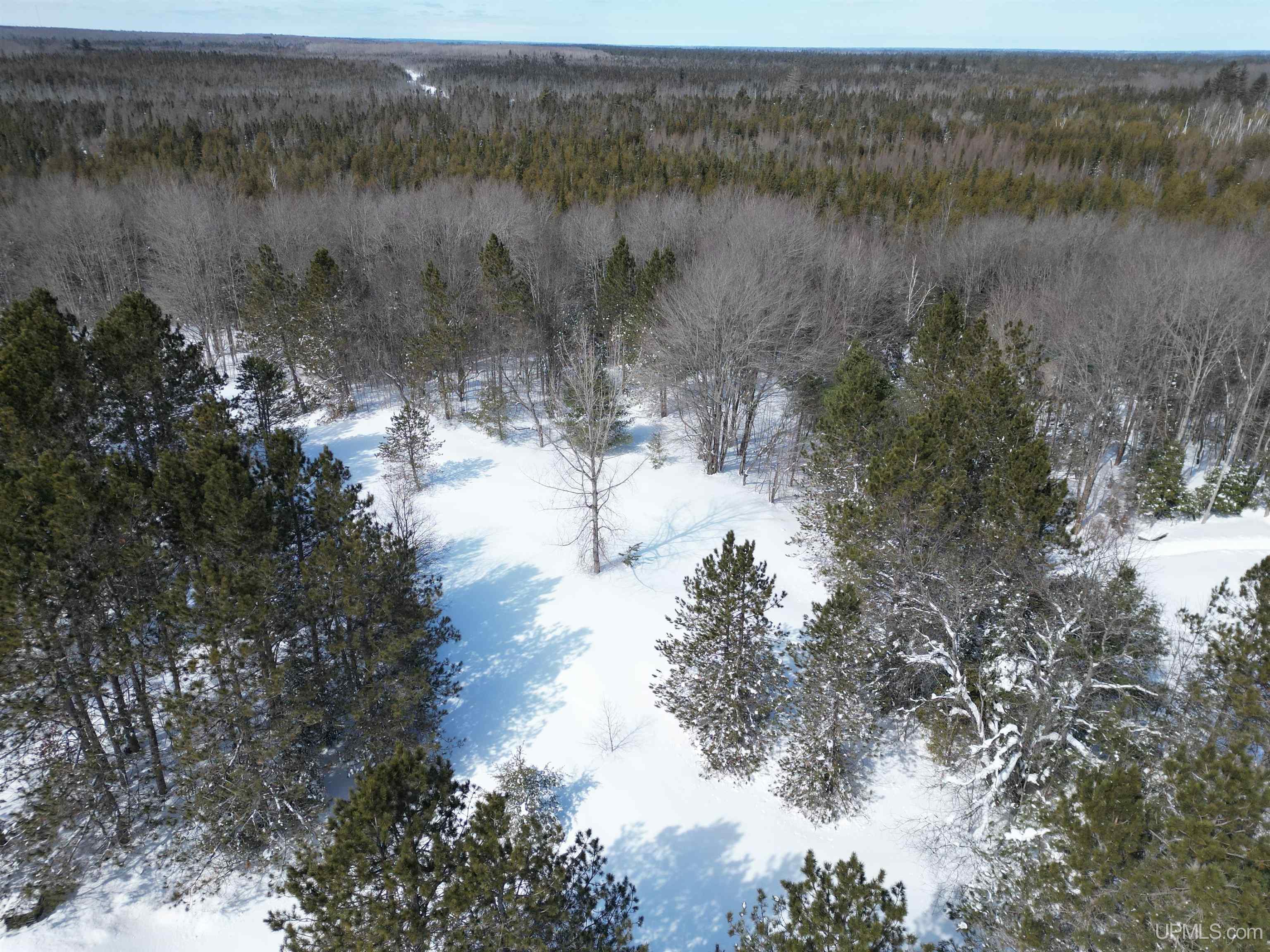 Tbd West Smith Lake Road Manistique, MI 49854 - Photo 10 of 20