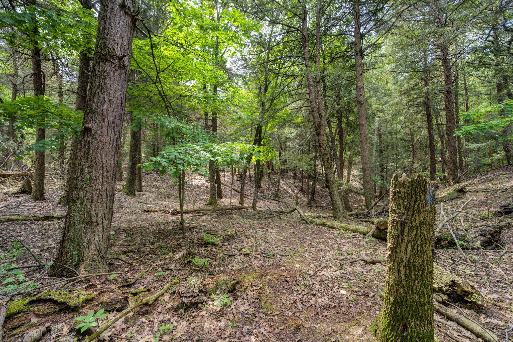 3312 Old State Road Frankfort, MI 49635 - Photo 78 of 85