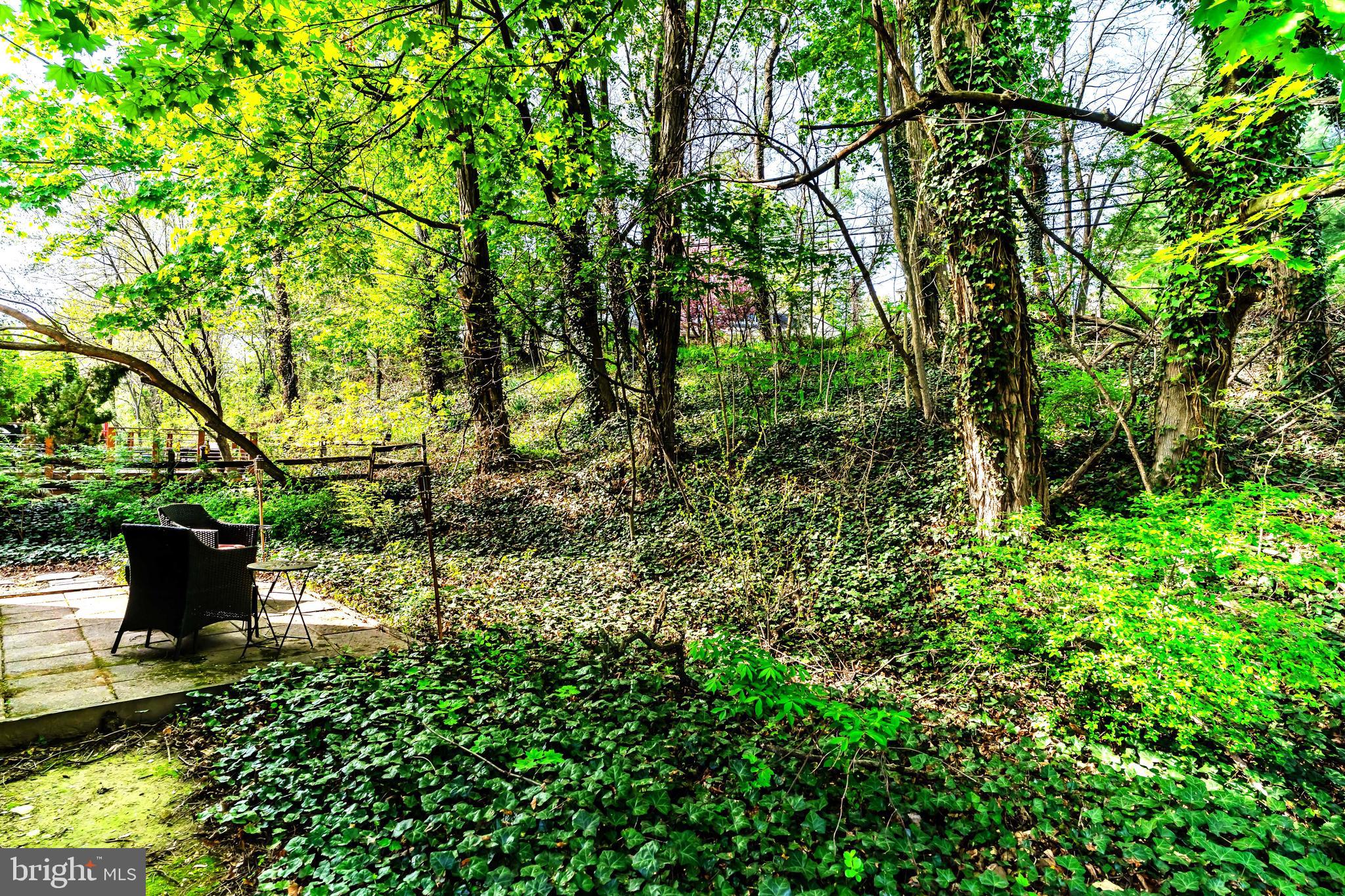 424 Hillside Road New Cumberland, PA 17070 - Photo 16 of 16 Back Yard/Patio