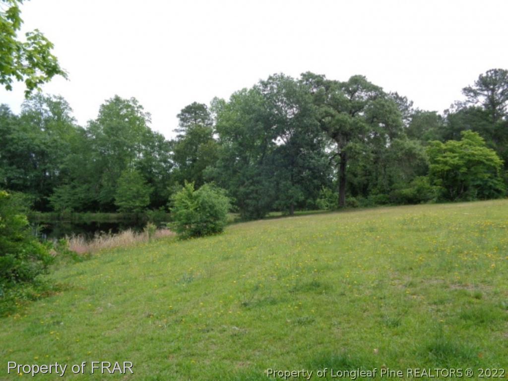 696 Hobson Road Raeford, NC 28376 - Photo 5 of 10 Gallery Image 5
