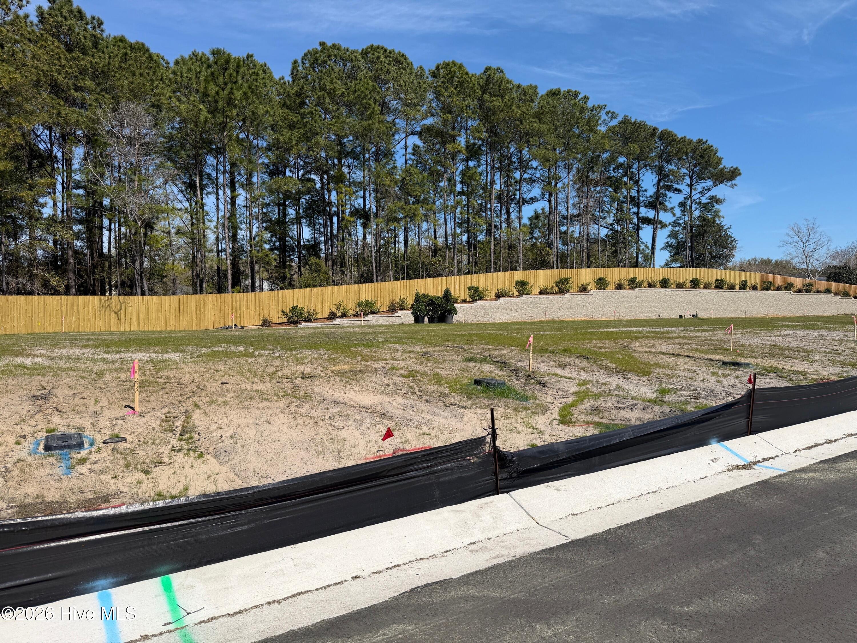 166 Hanger Road Wilmington, NC 28412 - Photo 34 of 35 McQuillan Pines Development