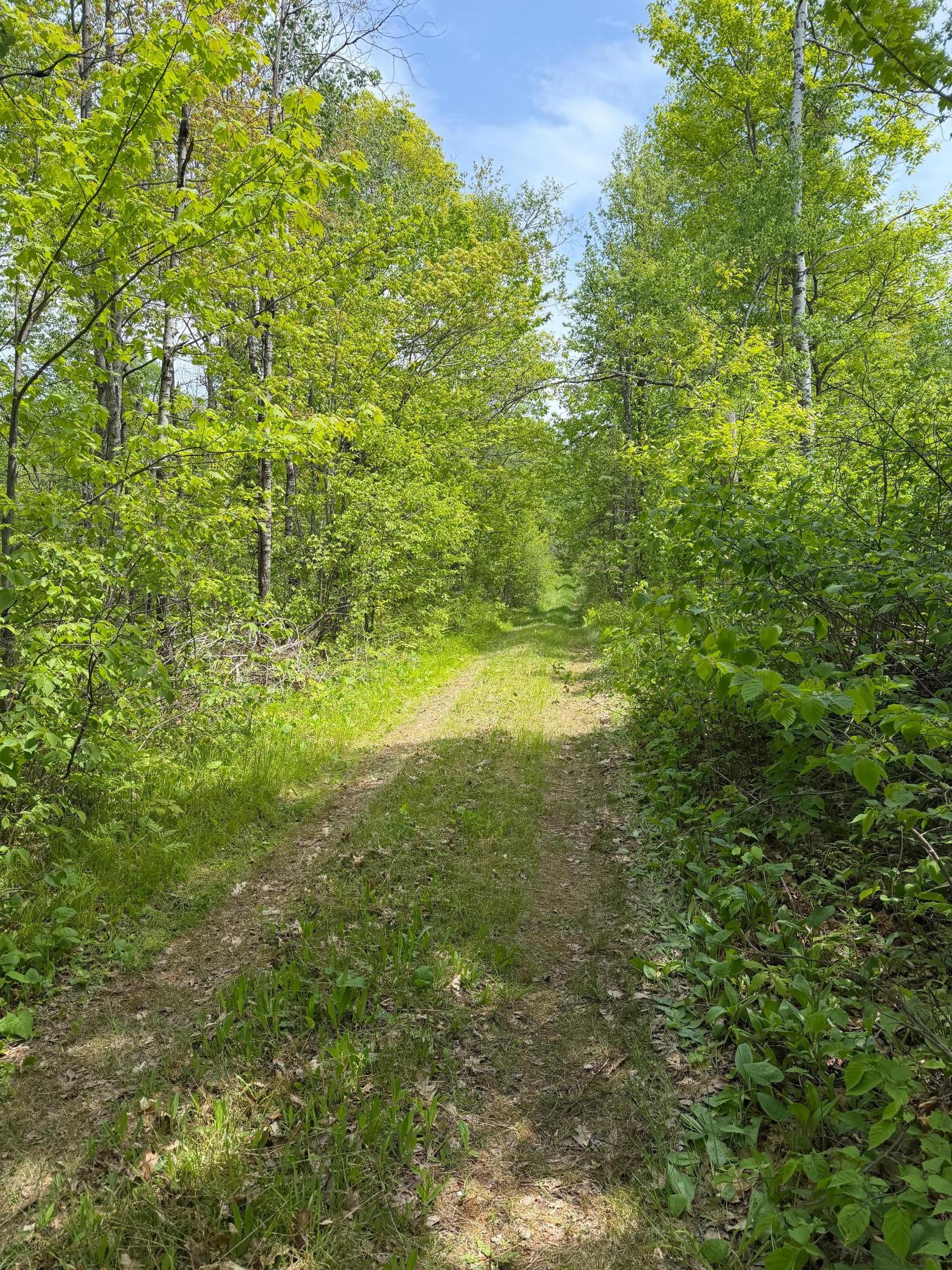 Tbd Range Line Road Holyoke, MN 55749 - Photo 1 of 6
