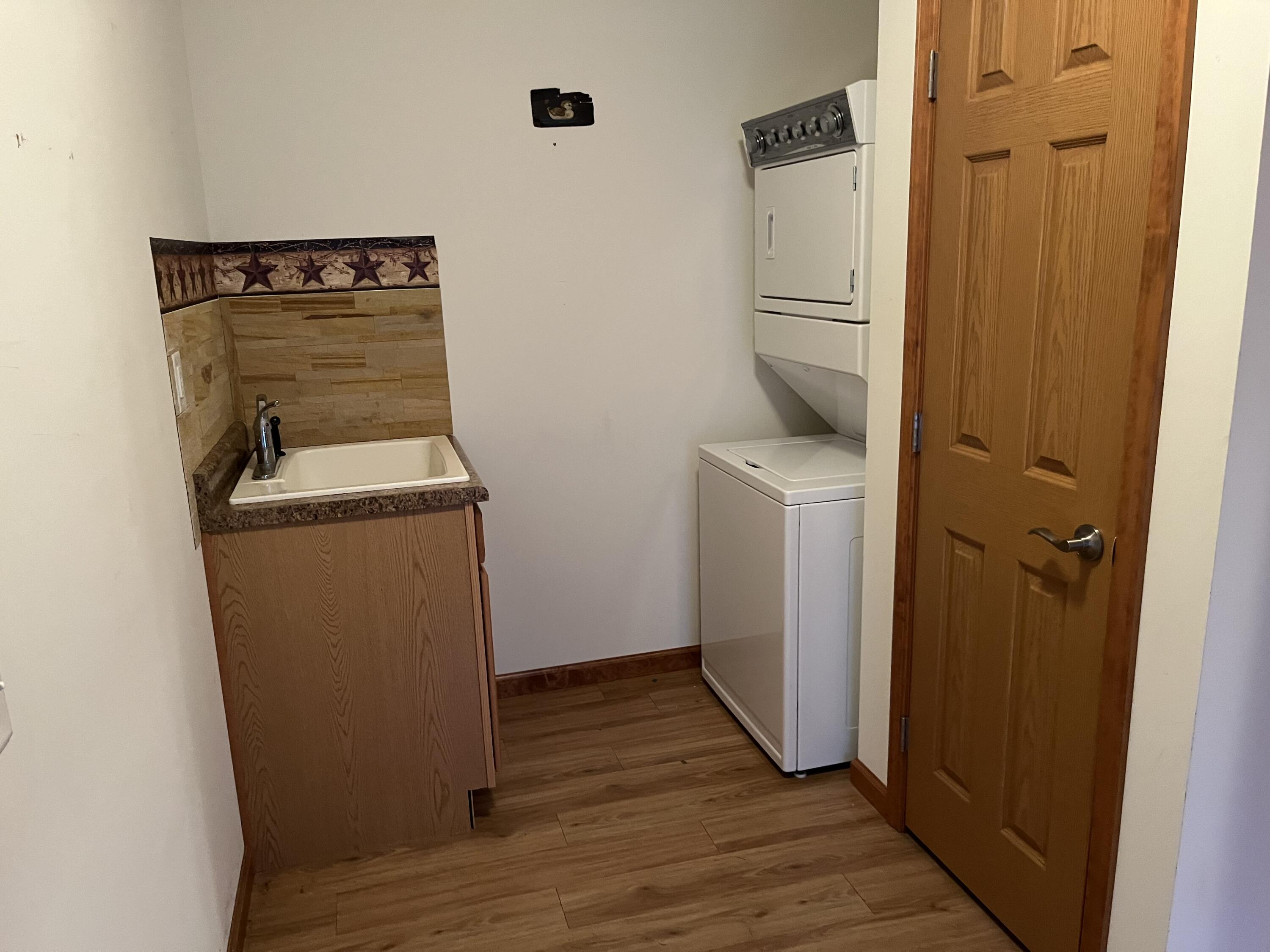 319 Clark Street Decatur, MI 49045 - Photo 13 of 45 Main floor laundry
