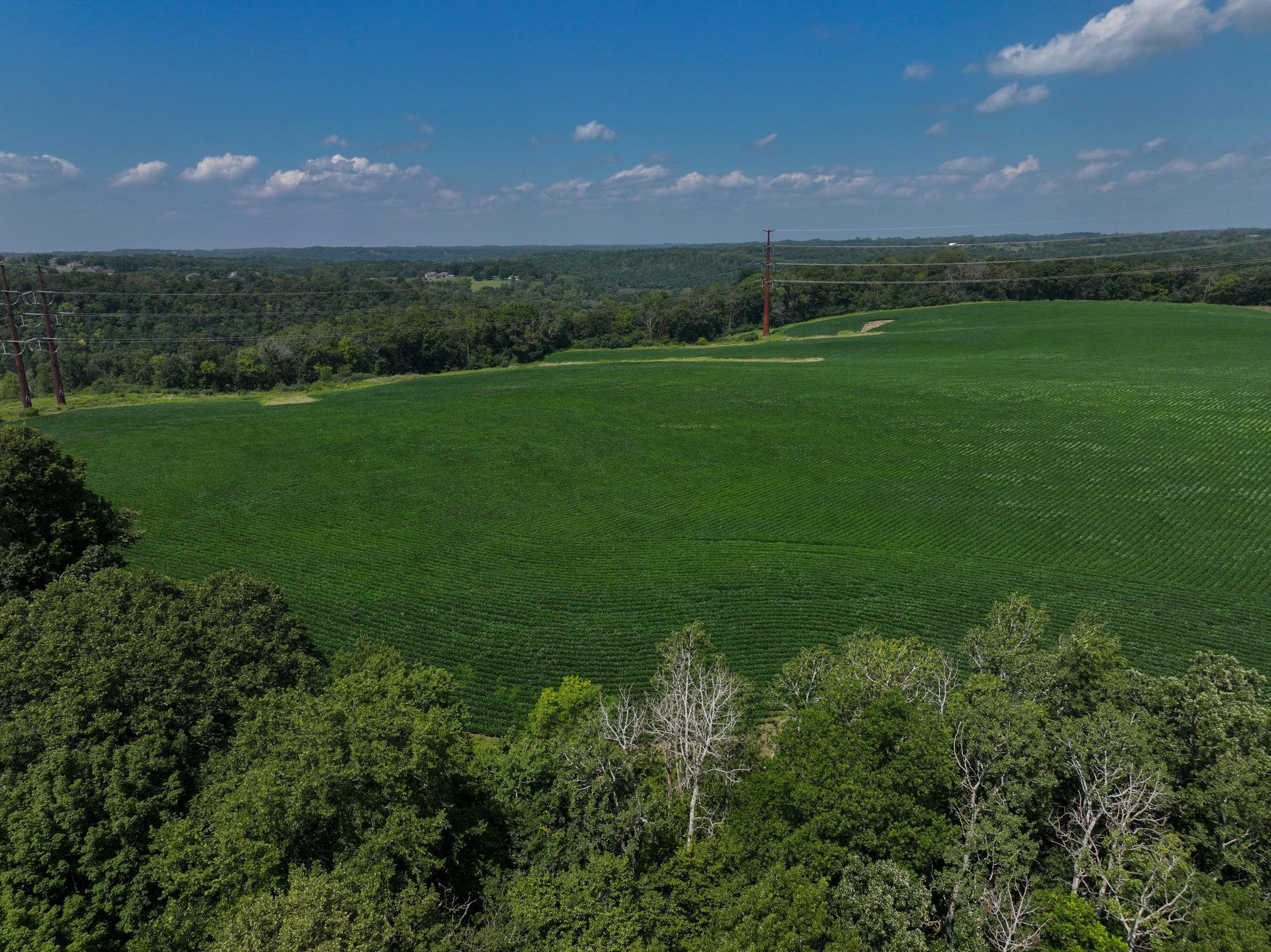 Xxx White Bridge Road Northeast Rochester, MN 55906 - Photo 11 of 22