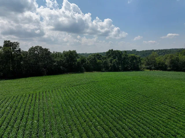 $700,000 | Xxx White Bridge Road Northeast, Rochester, MN 55906