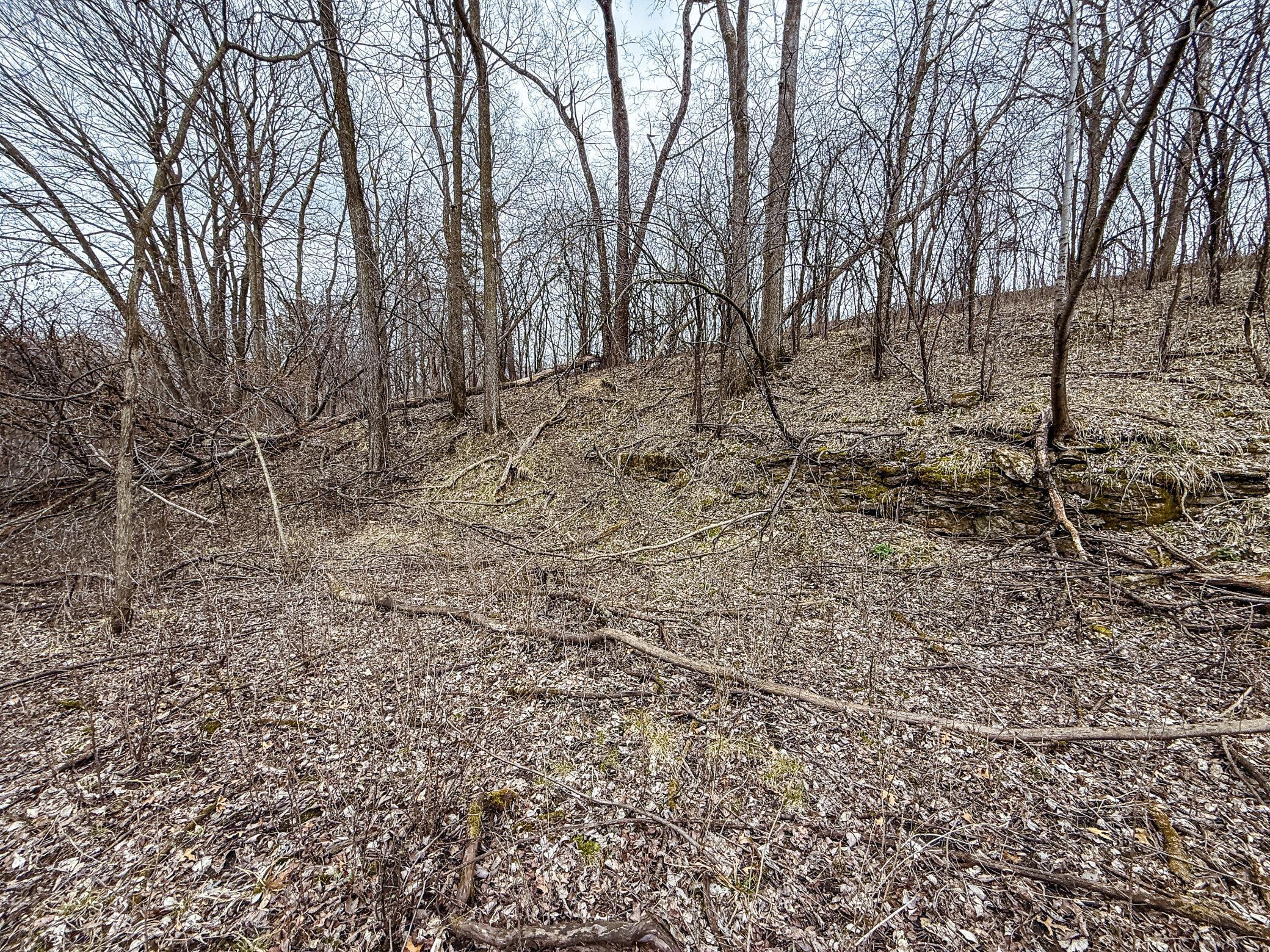 Xxx White Bridge Road Northeast Rochester, MN 55906 - Photo 18 of 22