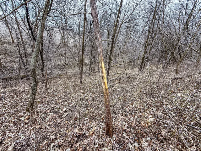 $700,000 | Xxx White Bridge Road Northeast, Rochester, MN 55906