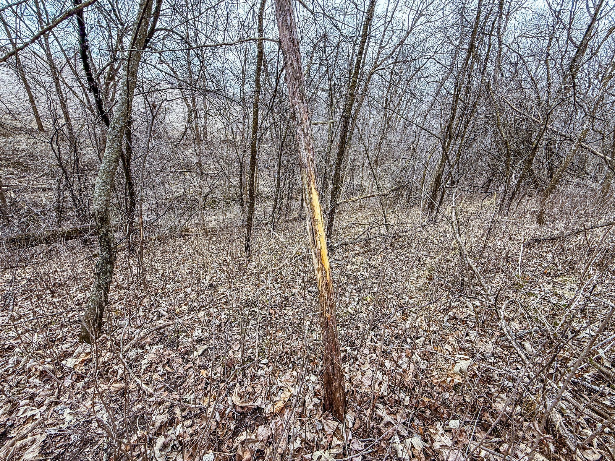 Xxx White Bridge Road Northeast Rochester, MN 55906 - Photo 19 of 22