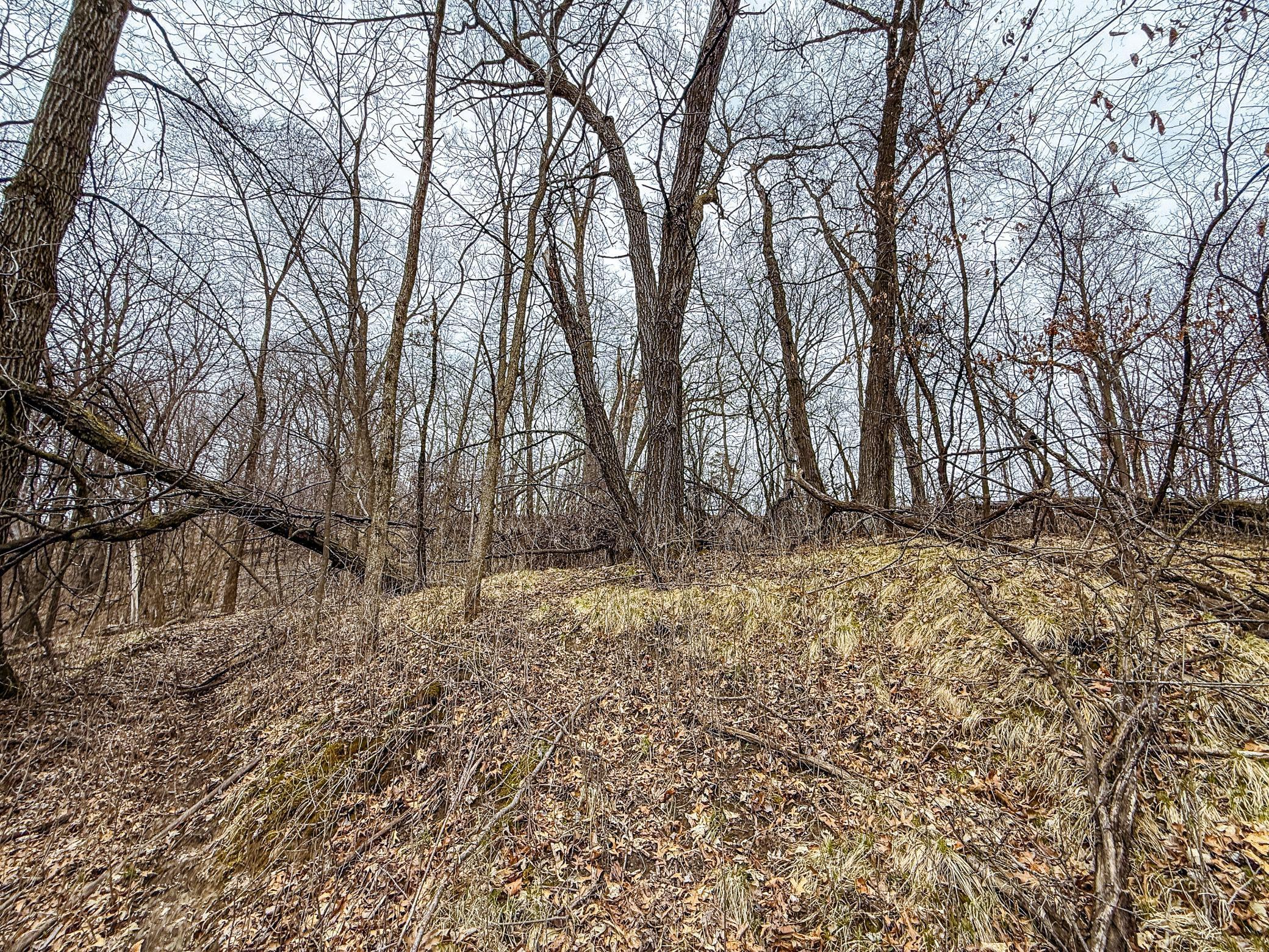 Xxx White Bridge Road Northeast Rochester, MN 55906 - Photo 20 of 22