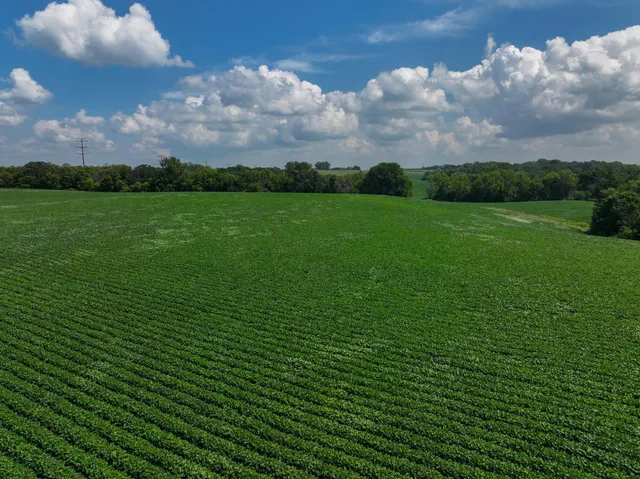 $700,000 | Xxx White Bridge Road Northeast, Rochester, MN 55906