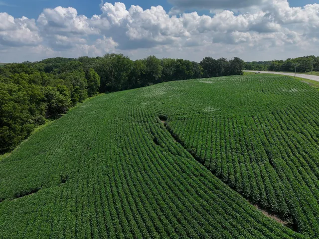 $700,000 | Xxx White Bridge Road Northeast, Rochester, MN 55906