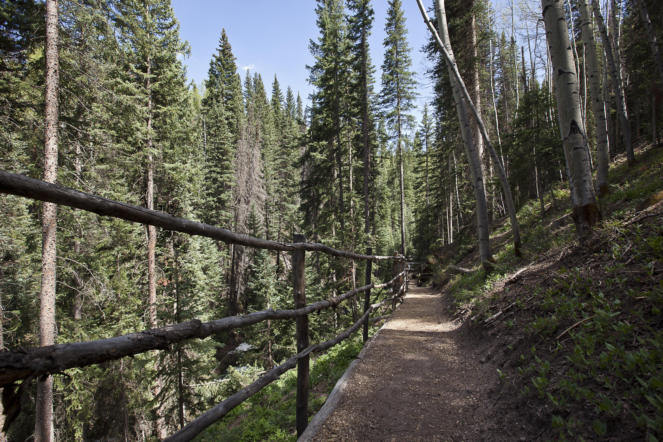 225 Raspberry Patch Road Telluride, CO 81435 - Photo 19 of 24 a view of a balcony with trees