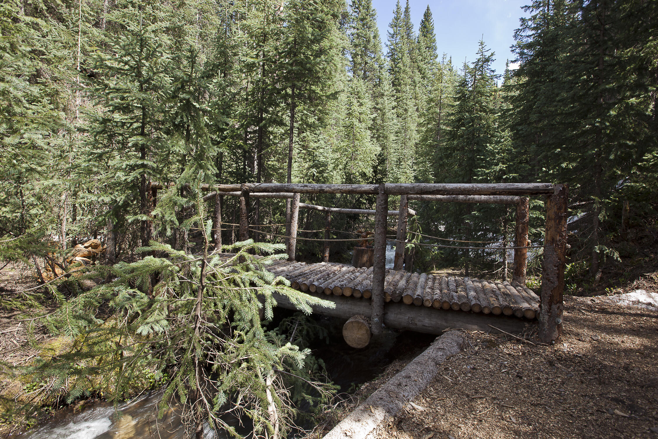 225 Raspberry Patch Road Telluride, CO 81435 - Photo 20 of 24 a view of a chair and tables in the backyard