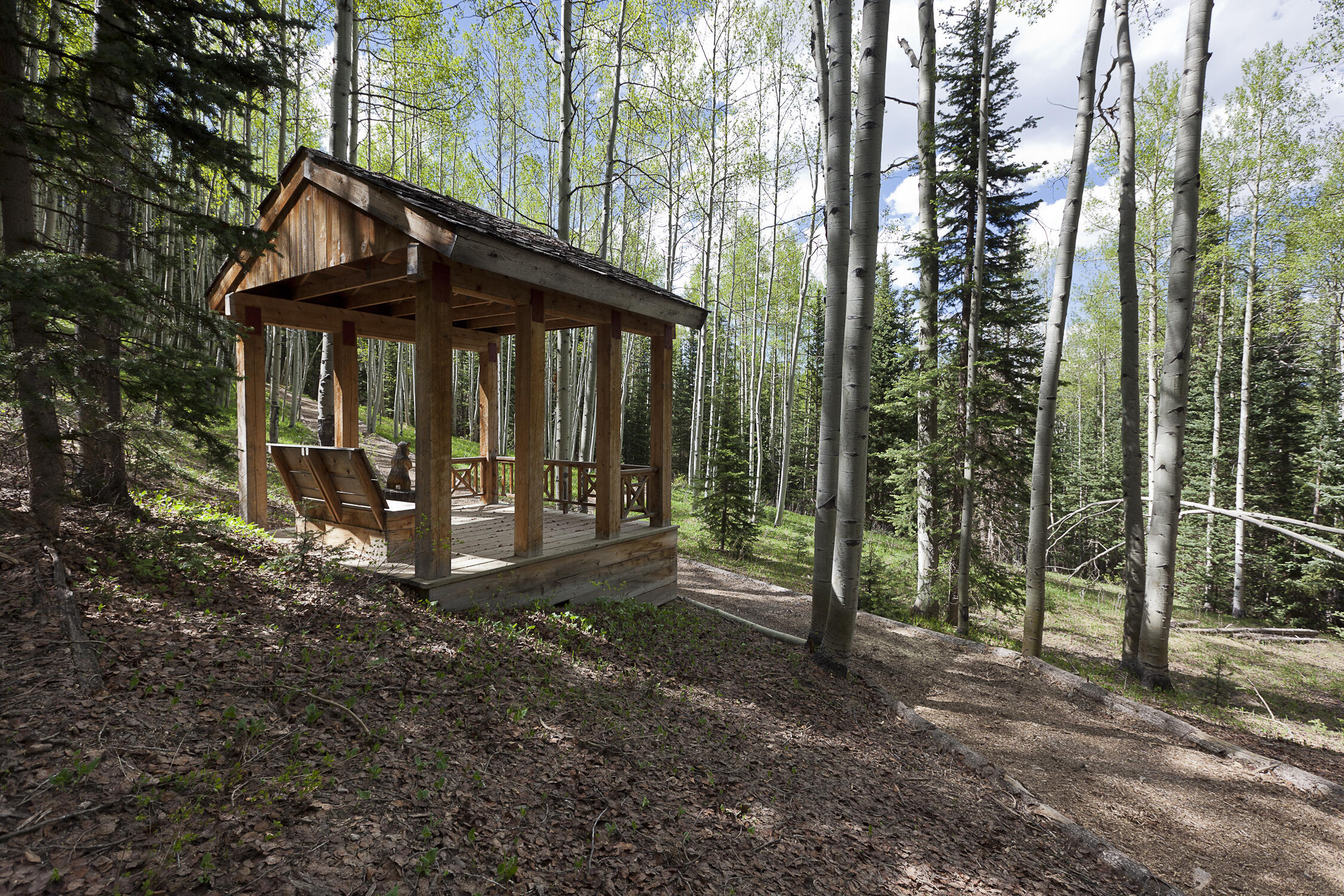 225 Raspberry Patch Road Telluride, CO 81435 - Photo 21 of 24 a view of a house with backyard and trees
