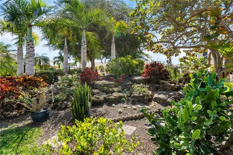 a view of a garden with plants