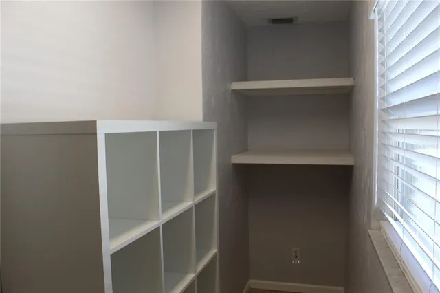 a view of backyard with a potted plant