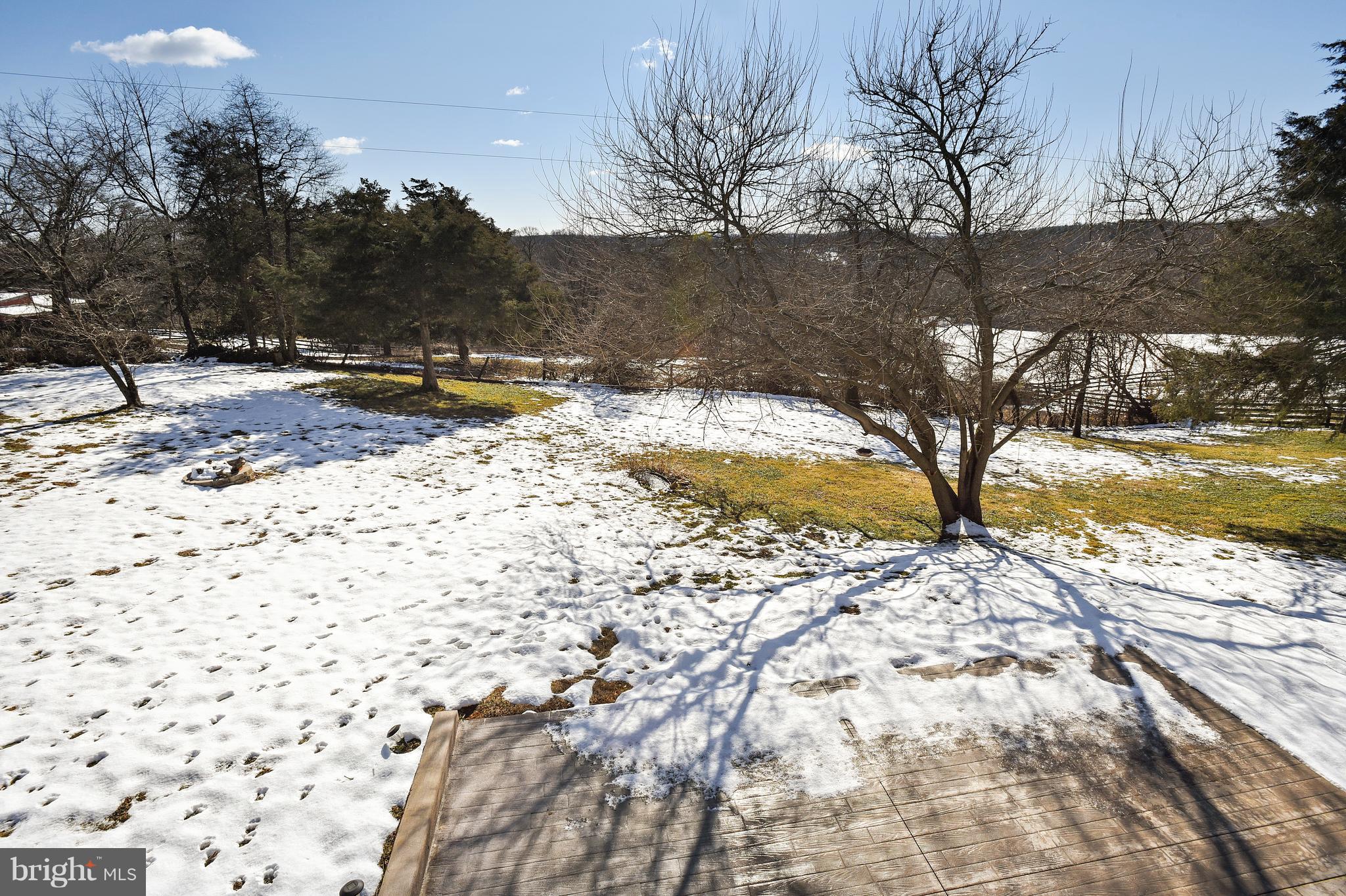 39877 Thomas Mill Road Leesburg, VA 20175 - Photo 29 of 36 View from Patio to left of Yard