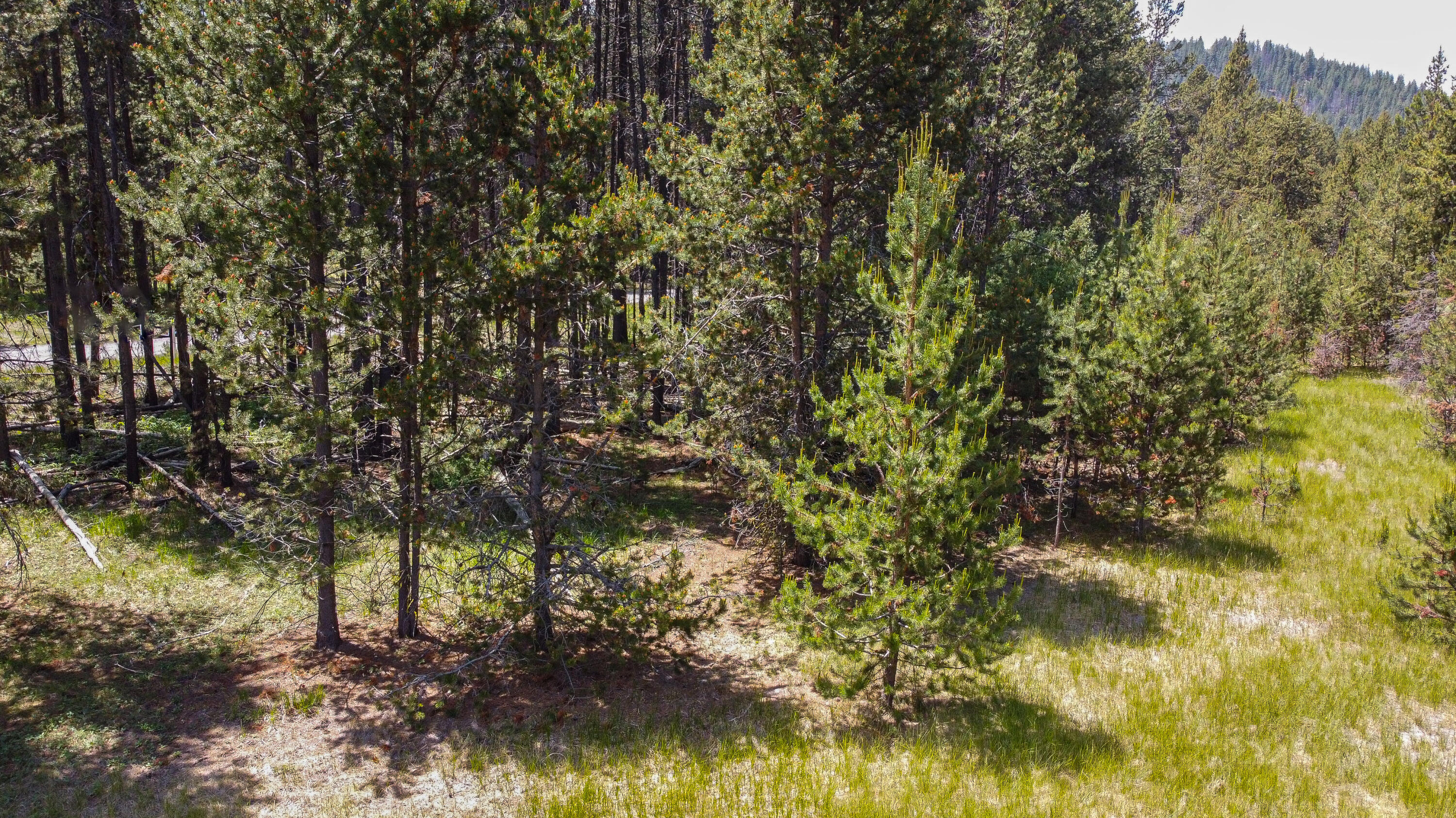 16944 Glendale Road Bend, OR 97707 - Photo 3 of 13 16944 Glendale-07