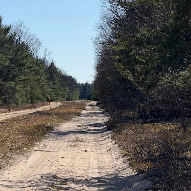 C Scharmen Road Traverse City, MI 49696 - Photo 11 of 11