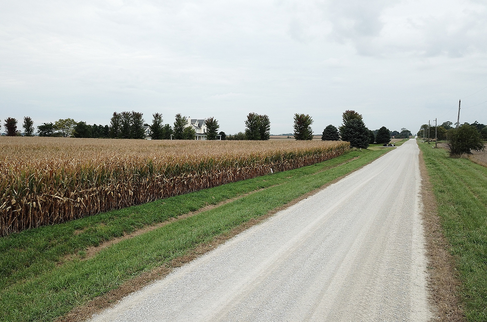 12901 West Kennedy Road Manhattan, IL 60442 - Photo 5 of 9