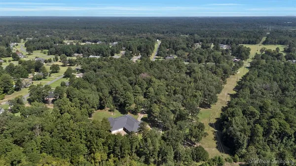 an aerial view of residential houses with city and green space