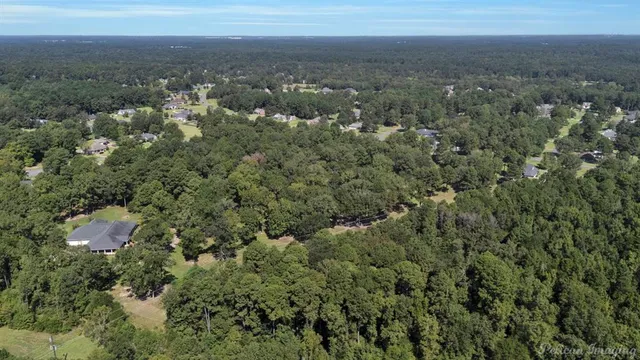 an aerial view of residential houses with outdoor and green space