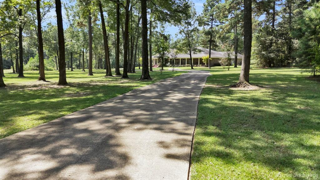 3669 Fountainbleau Road Keithville, LA 71047 - Photo 7 of 40 a view of a park with tree s
