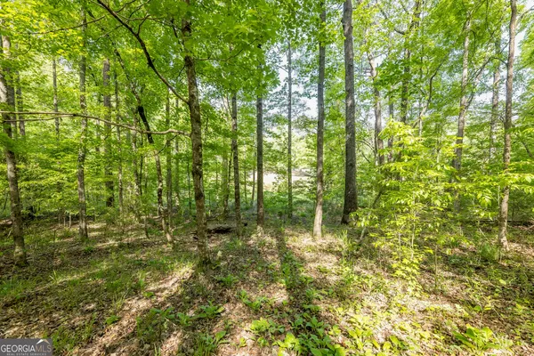 $175,000 | Lot 37 Dakota Trail, Fortson, GA 31808