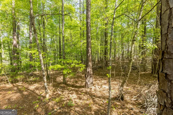 $175,000 | Lot 37 Dakota Trail, Fortson, GA 31808
