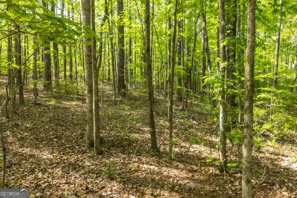 $175,000 | Lot 37 Dakota Trail, Fortson, GA 31808