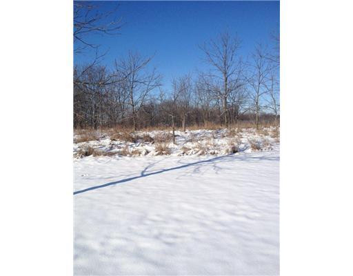 18316 Wasson Road Gregory, MI 48137 - Photo 11 of 11 Photo 11