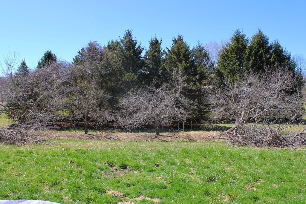 32 Hemlock Street Douglas, MA 01516 - Photo 35 of 41 a view of outdoor space with deck and yard