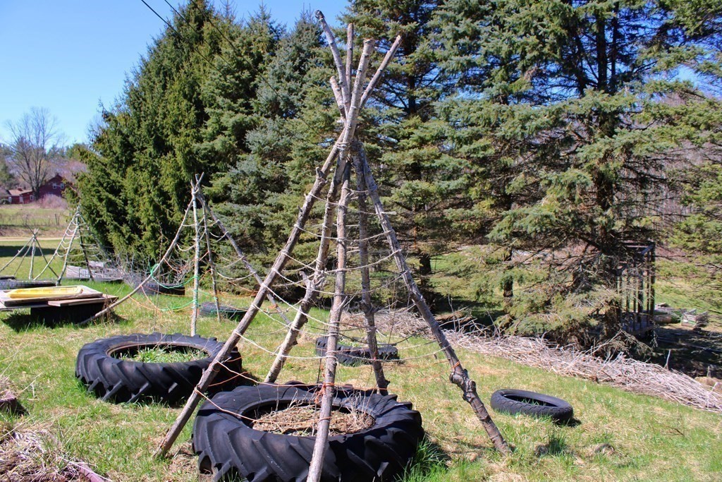 32 Hemlock Street Douglas, MA 01516 - Photo 36 of 41 a view of yard with swimming pool