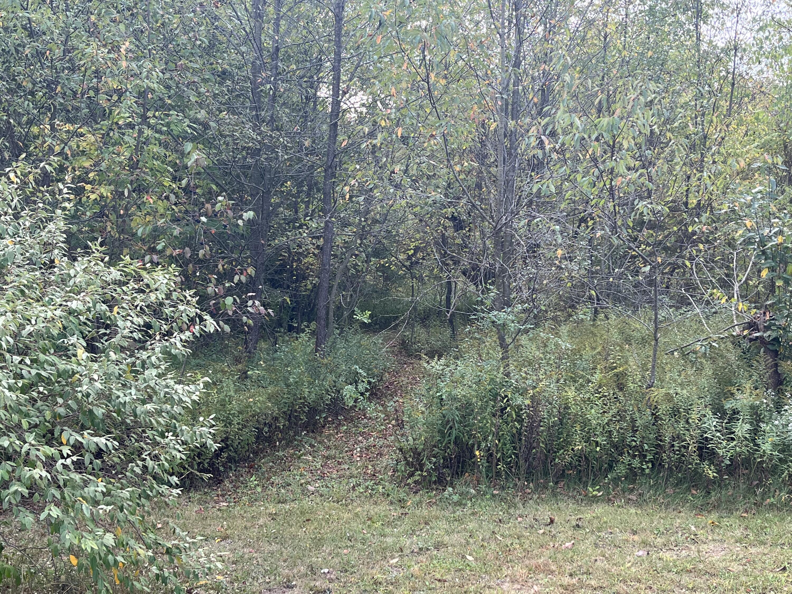 1651 Bennett Road Ionia, MI 48846 - Photo 36 of 50 D68E9B9E-CA23-4C5D-9F5B-7FB20D01AC2C