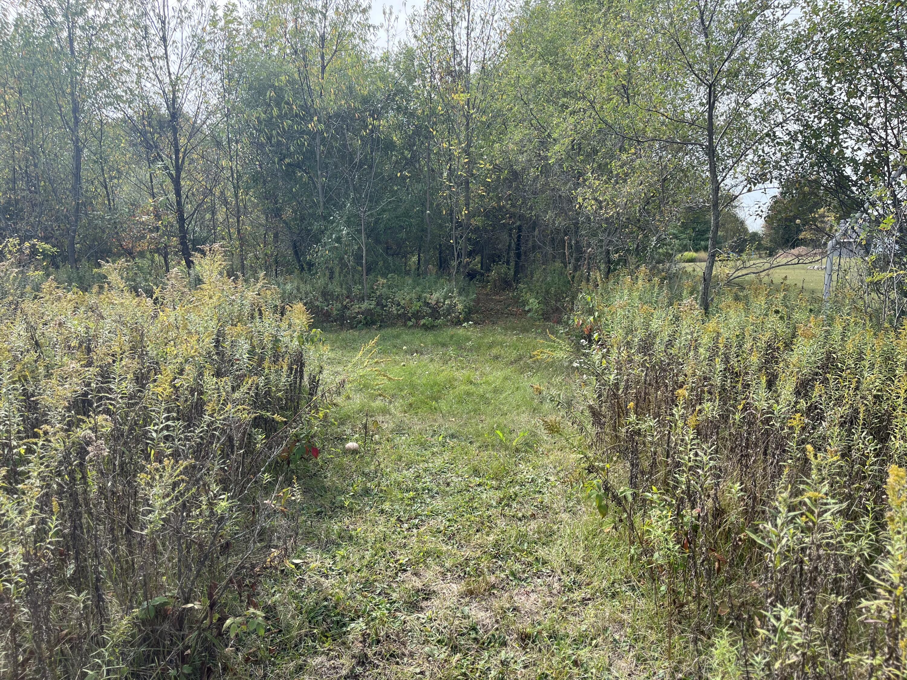 1651 Bennett Road Ionia, MI 48846 - Photo 37 of 50 B64EE138-EAE7-4A6D-8E4E-C00A106C0AB4