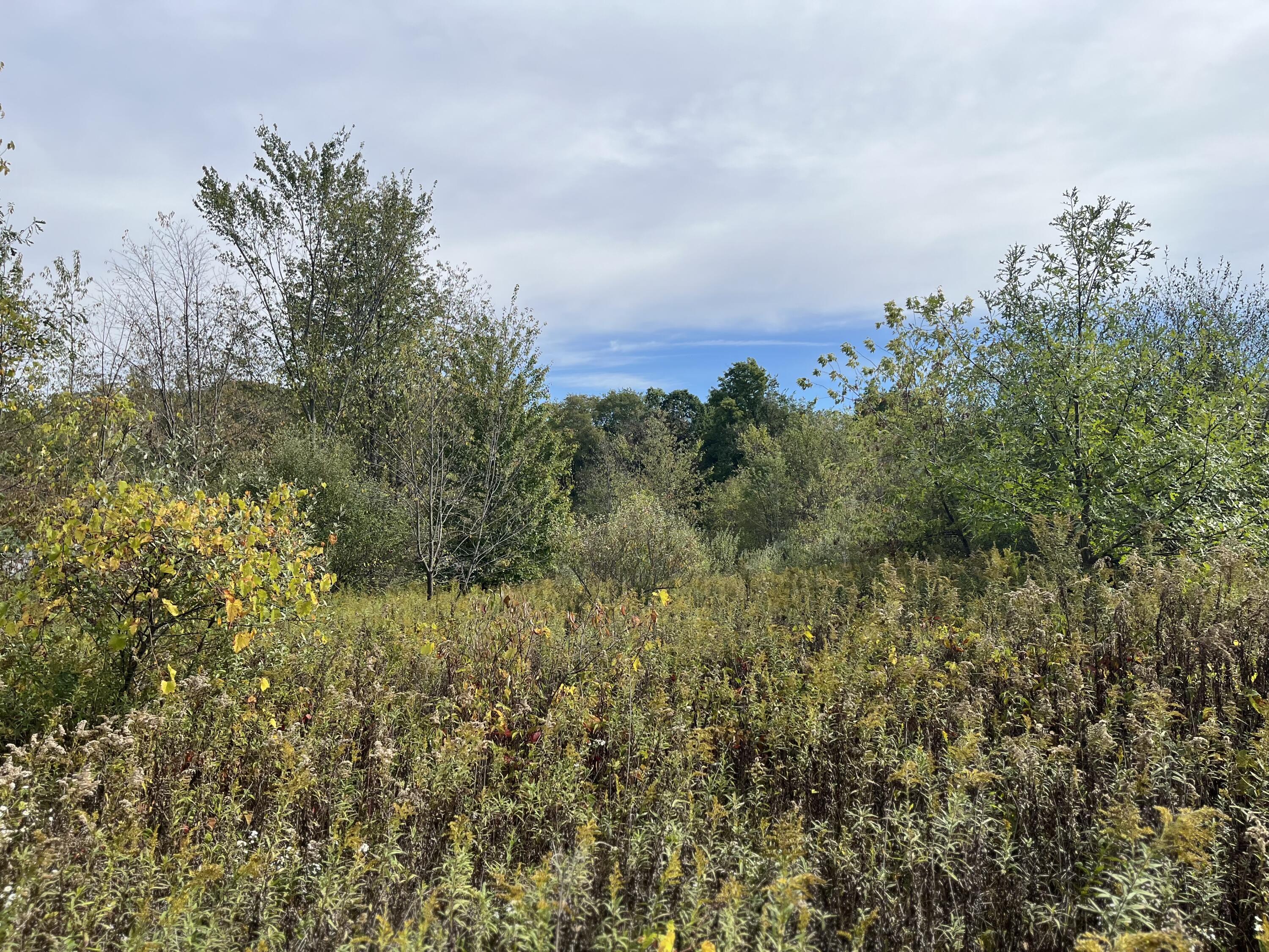 1651 Bennett Road Ionia, MI 48846 - Photo 39 of 50 6A0929E6-C88D-450D-BE9C-55F1333A46FC