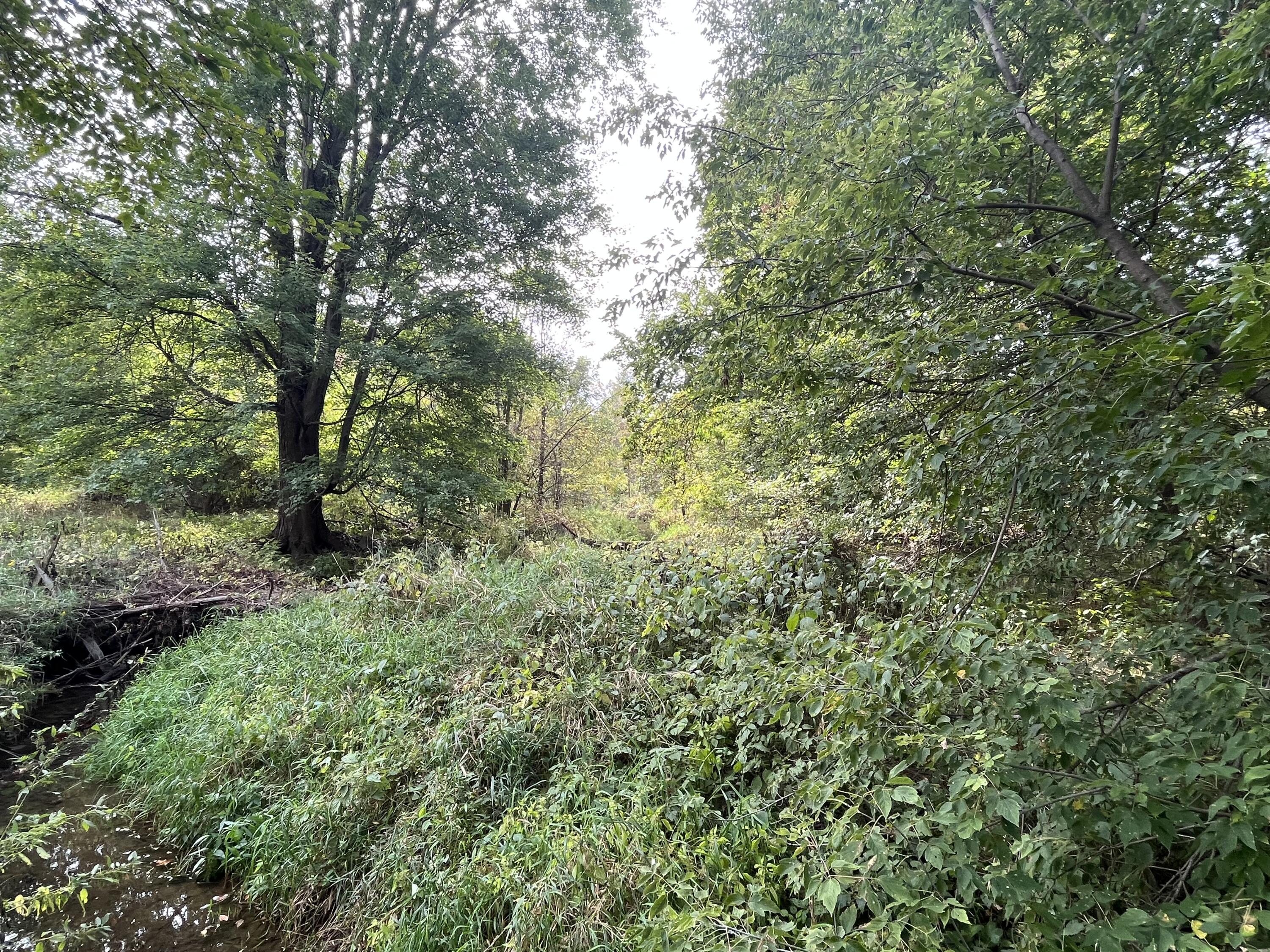 1651 Bennett Road Ionia, MI 48846 - Photo 43 of 50 AB897FB4-7B8D-4E95-9613-6558DAFA5D31