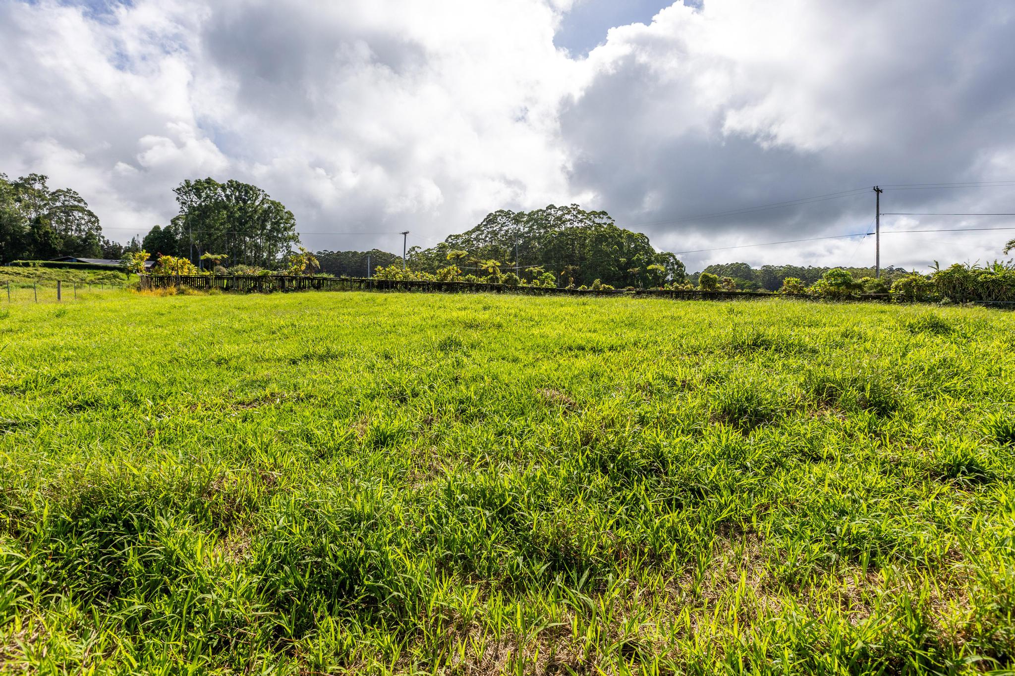 Lot F Chin Chuck Road Papaikou, HI 96781 - Photo 4 of 11