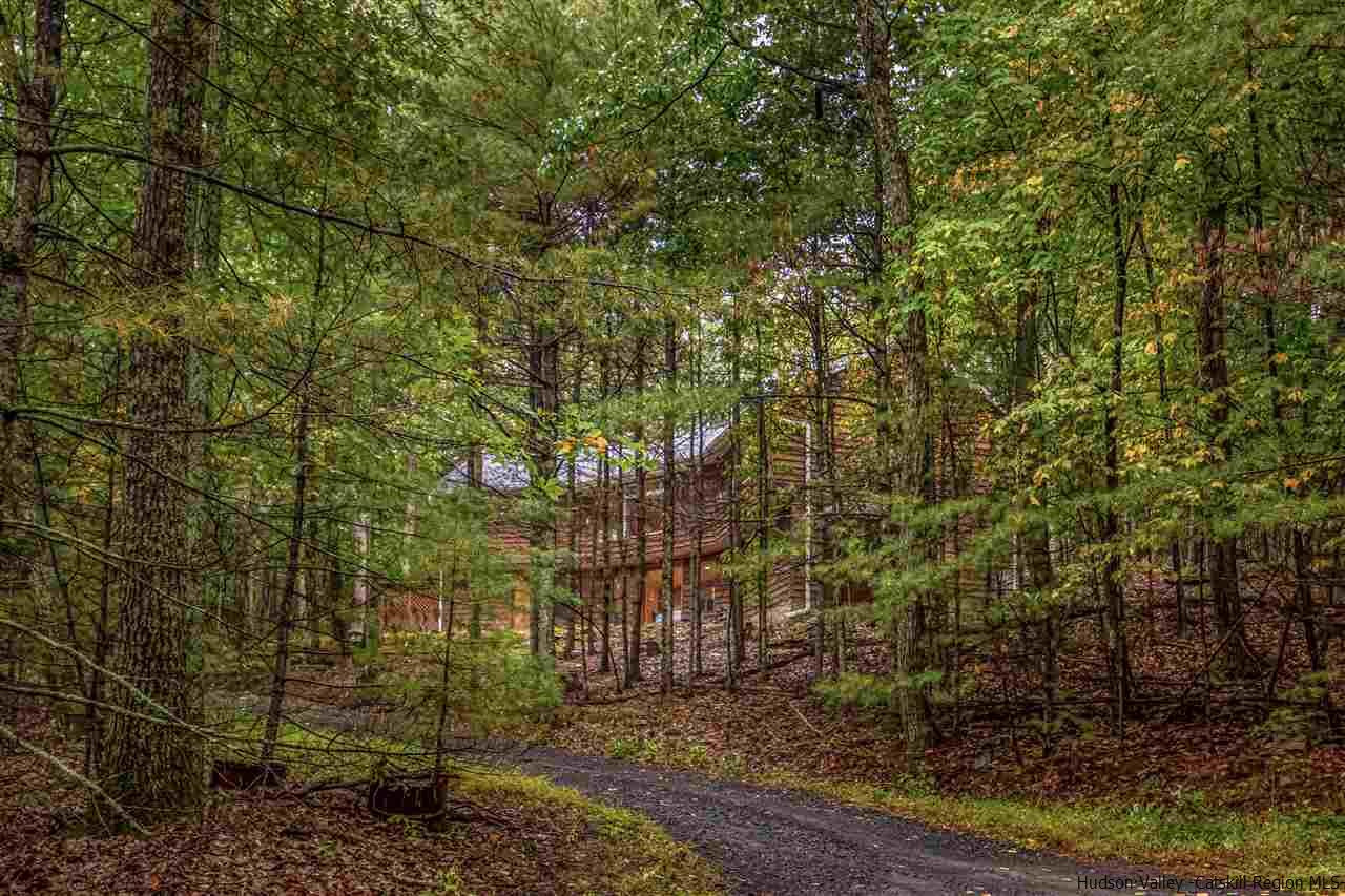 52 Grassy Ridge Road Olivebridge, NY 12461 - Photo 3 of 25 Photo 3