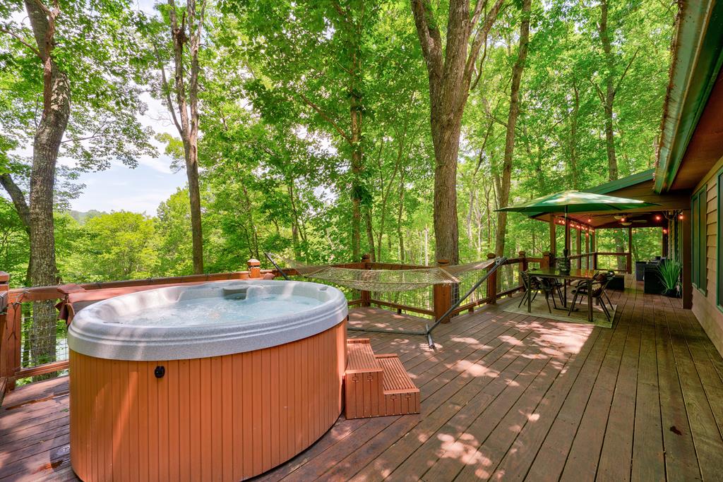 307 Pigeon Creek Road Blue Ridge, GA 30513 - Photo 53 of 56 Gallery Image 53
