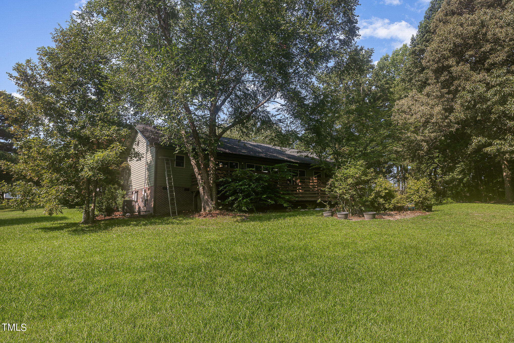 2887 Micro Road West Selma, NC 27576 - Photo 42 of 48 a view of a trees in a yard