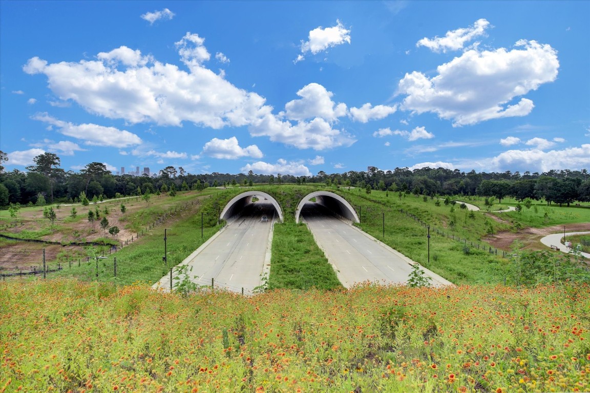 5938 Kansas Street Houston, TX 77007 - Photo 19 of 30 a view of lake view with a garden