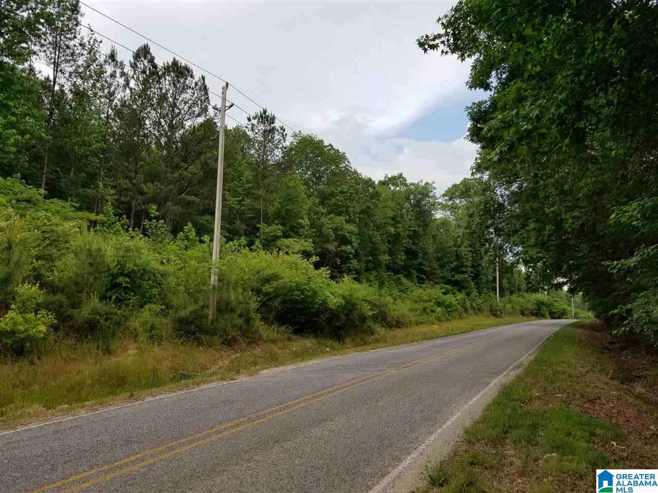 0 Rocky Hollow Road, Unit 12 Jacksonville, AL 36265 - Photo 6 of 15