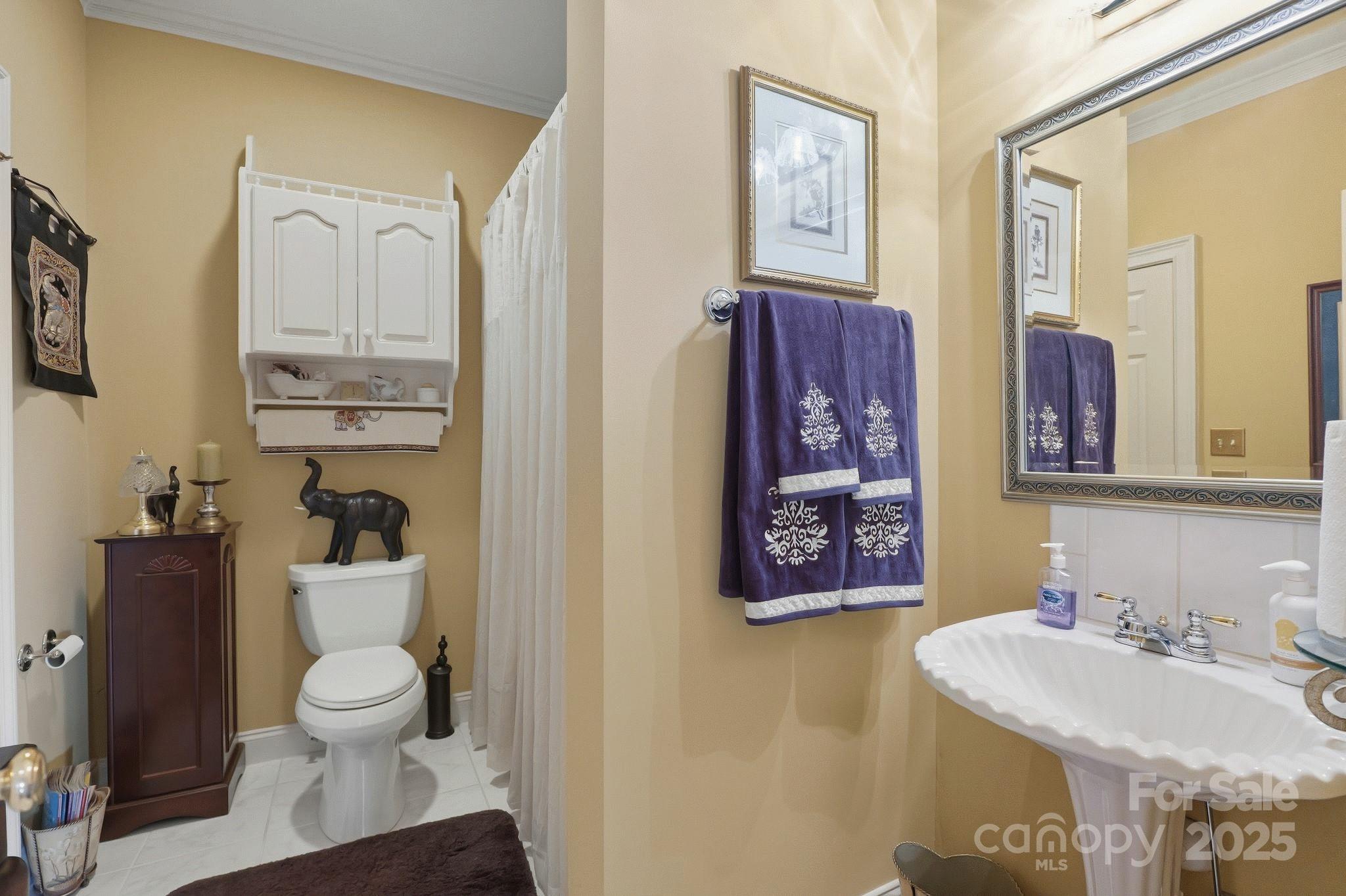 1004 Brockman Road Greer, SC 29651 - Photo 19 of 46 a bathroom with a toilet sink and mirror