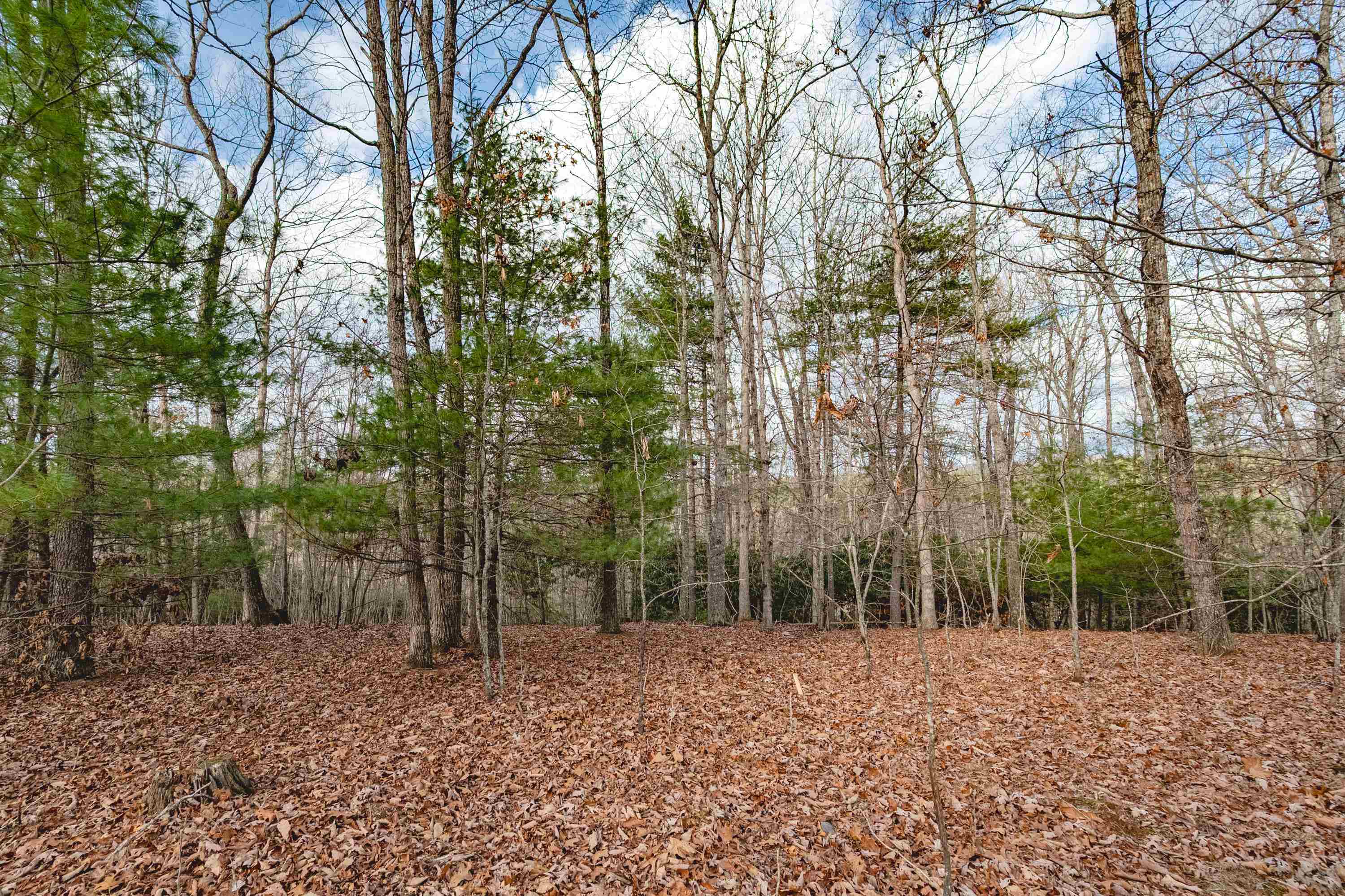 Tbd Spangler Mill Road Northeast Floyd, VA 24091 - Photo 20 of 44 Gallery Image 20