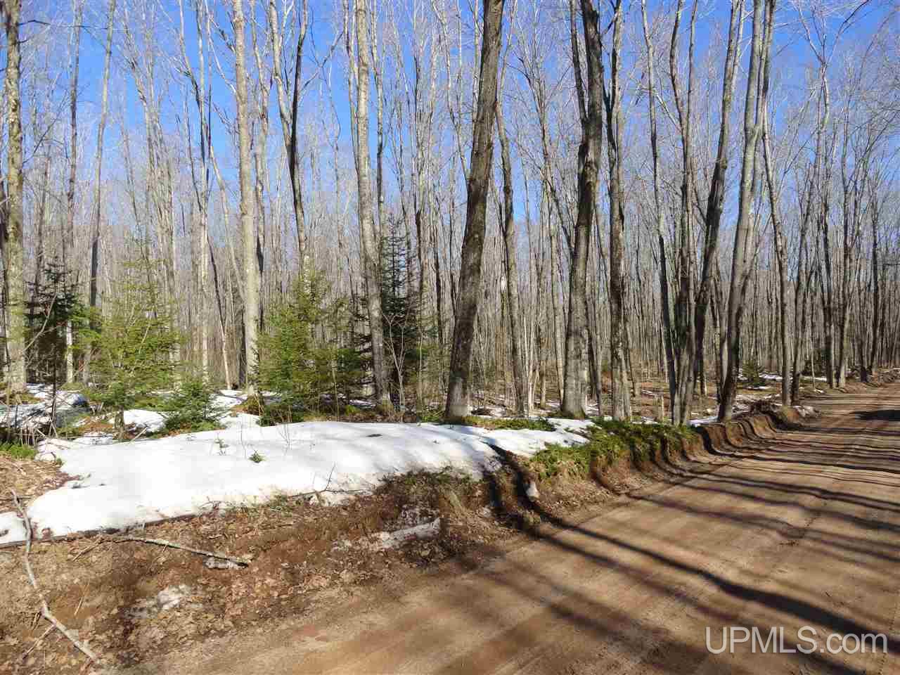 2534 Co Road Marquette, MI 49855 - Photo 31 of 35