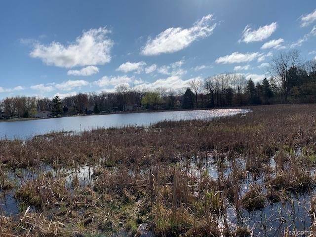 2 Argentine Road Howell, MI 48843 - Photo 6 of 20