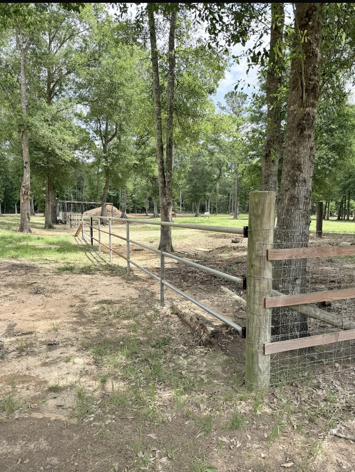 826 Oak Bend Loop Cleveland, TX 77328 - Photo 50 of 50 a view of a yard with a tree