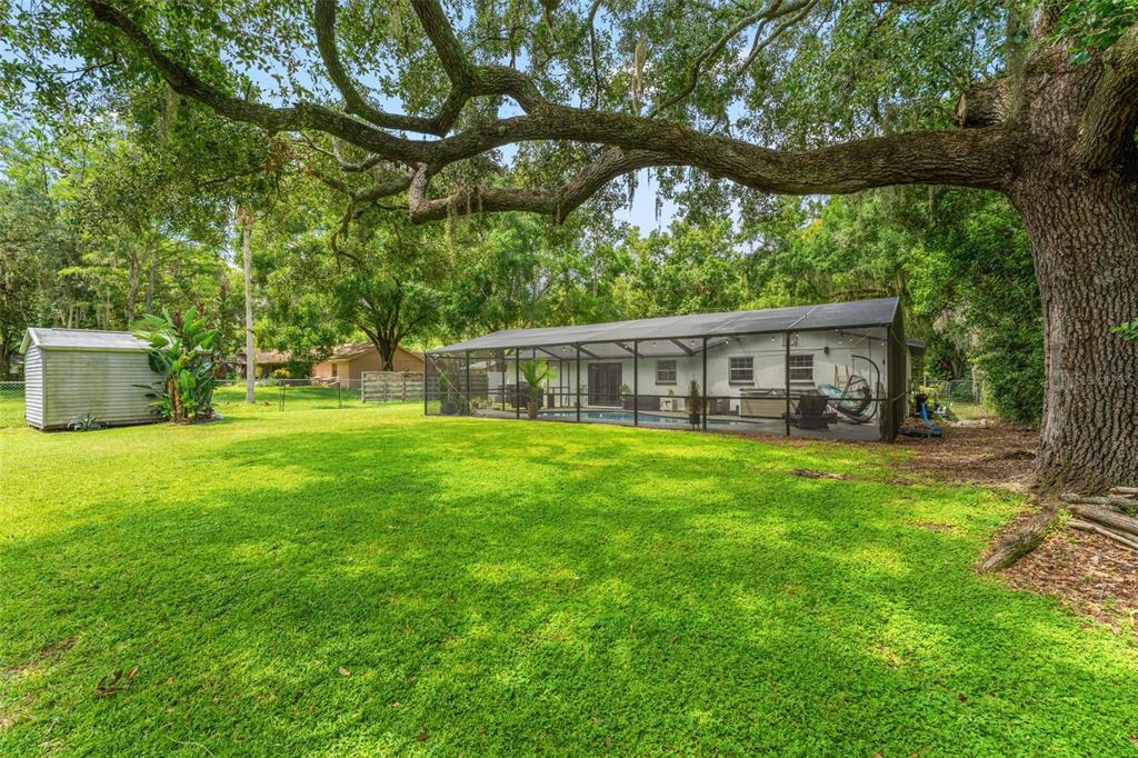 18205 Griffith Road Lutz, FL 33548 - Photo 34 of 46